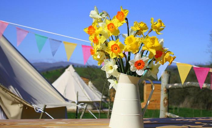 The whole site can be booked out for events